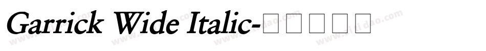 Garrick Wide Italic字体转换